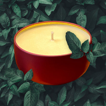 Gardenia - Mississippi Memories - Soy Candle